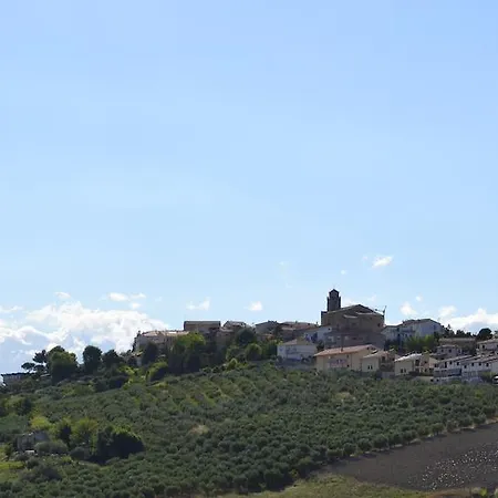 Domus Mediterranea *